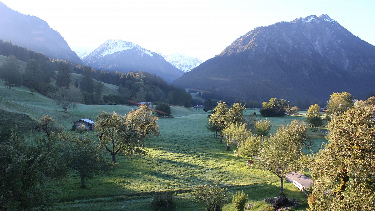 Oberstdorf Scheibenhaus Blick nach Süden Foto Webcam eu