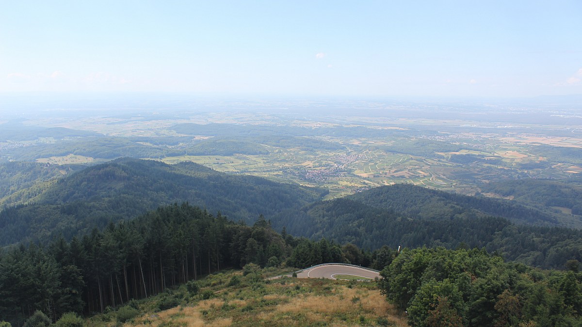 Hochblauen / Schwarzwald - Blick ins Rheintal - Foto-Webcam.eu