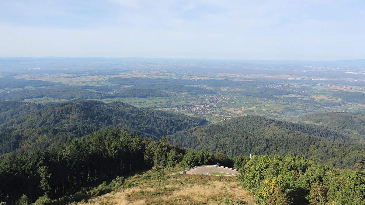 Hochblauen / Schwarzwald - Blick ins Rheintal - Foto-Webcam.eu