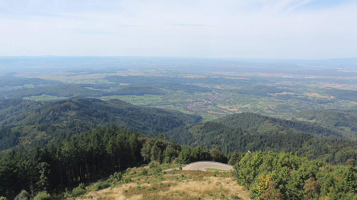 Hochblauen / Schwarzwald - Blick ins Rheintal - Foto-Webcam.eu