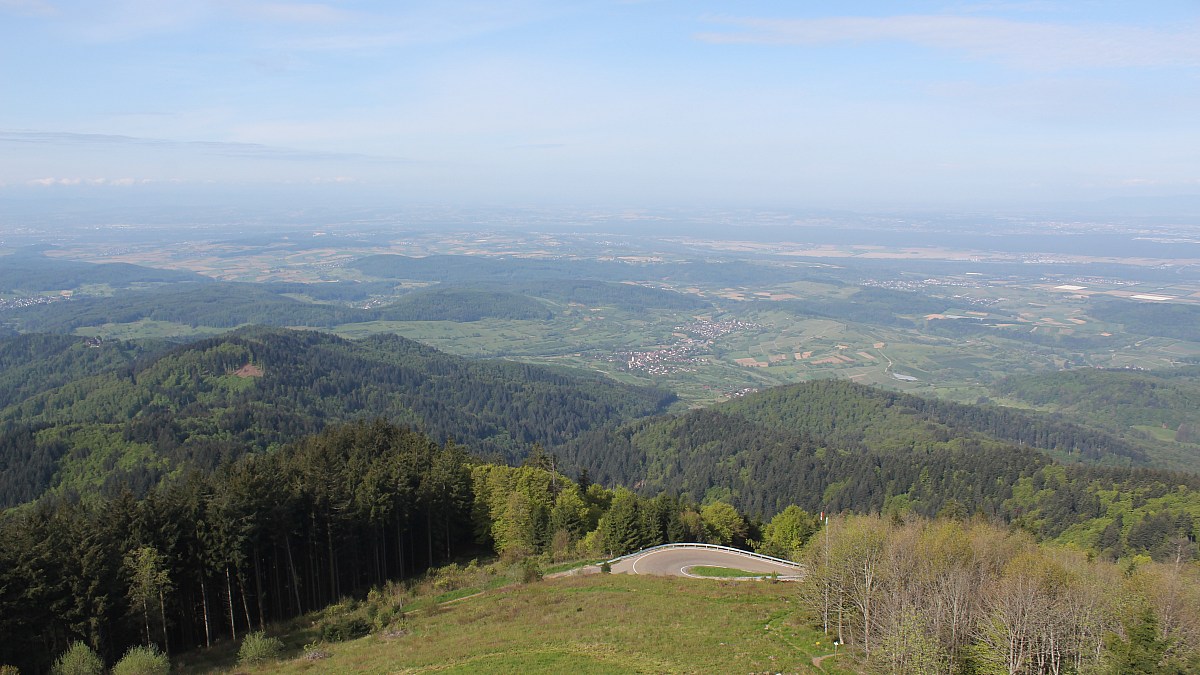 Hochblauen / Schwarzwald - Blick ins Rheintal - Foto-Webcam.eu