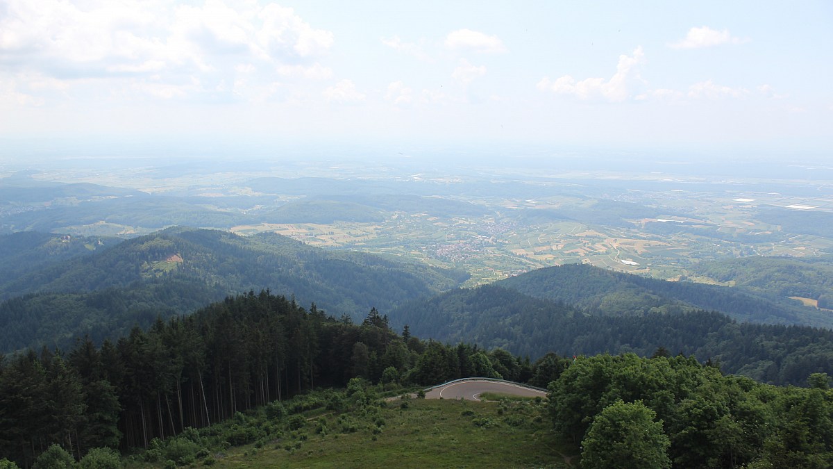 Hochblauen / Schwarzwald - Blick ins Rheintal - Foto-Webcam.eu