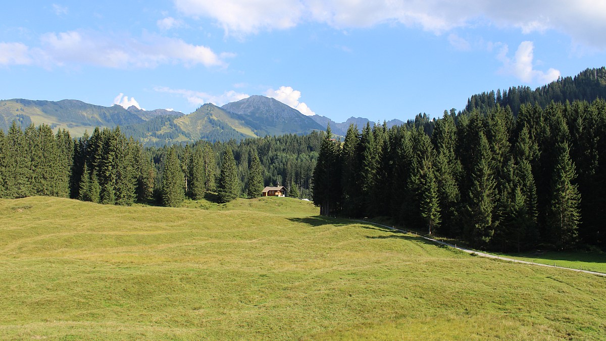 Kleinwalsertal / Alpenhotel DAS KÜREN - Blick nach Südosten ins Wäldele ...