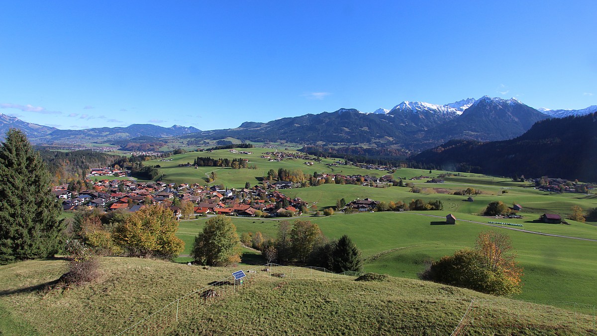 Obermaiselstein / Großer Herrenberg - Blick nach Osten - Foto-Webcam.eu